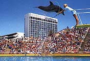 Oceanarium, Port Elizabeth, South Africa